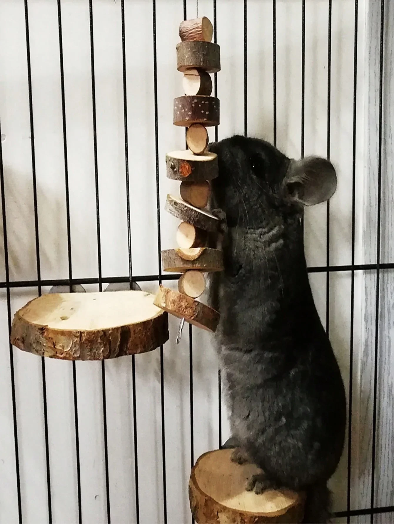 Hamster Tavşan Çiğneme Oyuncağ - Woodworking Rabbet incelemesi ve fiyatı
