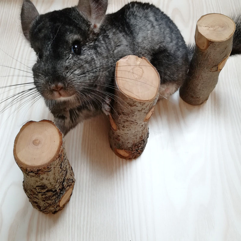 Evcil hayvan hamster oyuncak d - Woodworking Rabbet incelemesi ve fiyatı