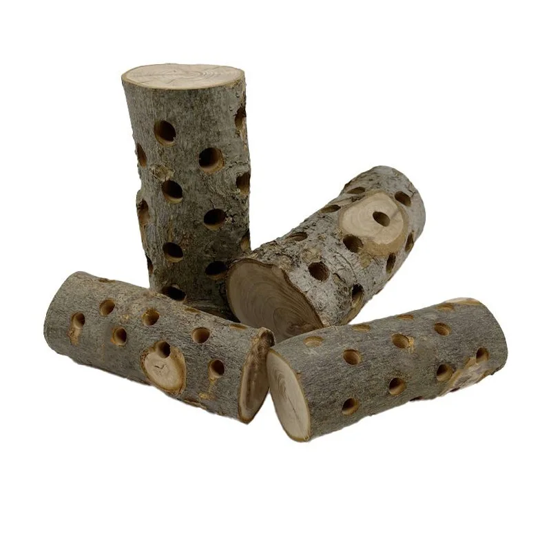 Küçük Hayvanlar İçin Çiğneme O - Woodworking Rabbet incelemesi ve fiyatı